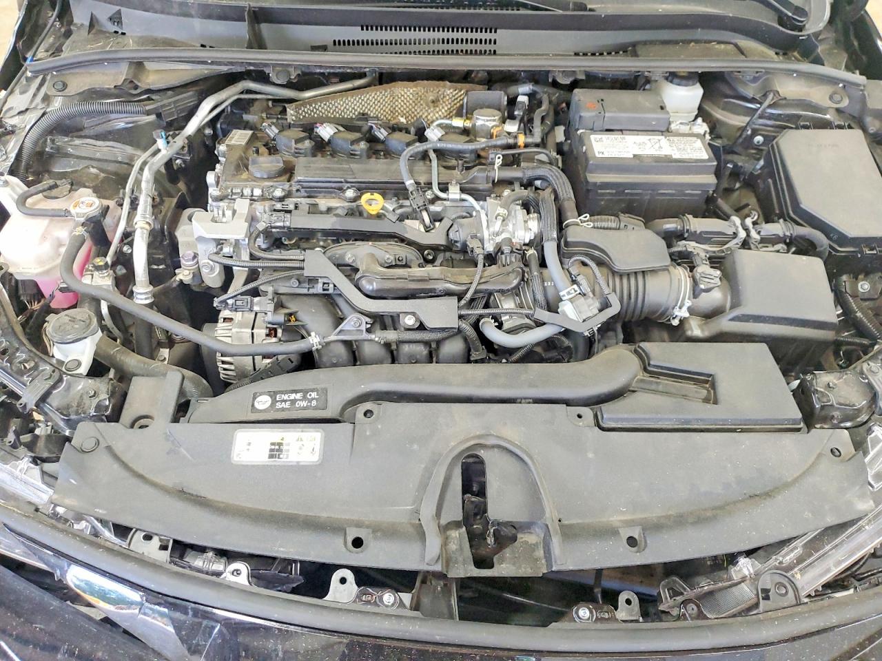 2026 TOYOTA COROLLA