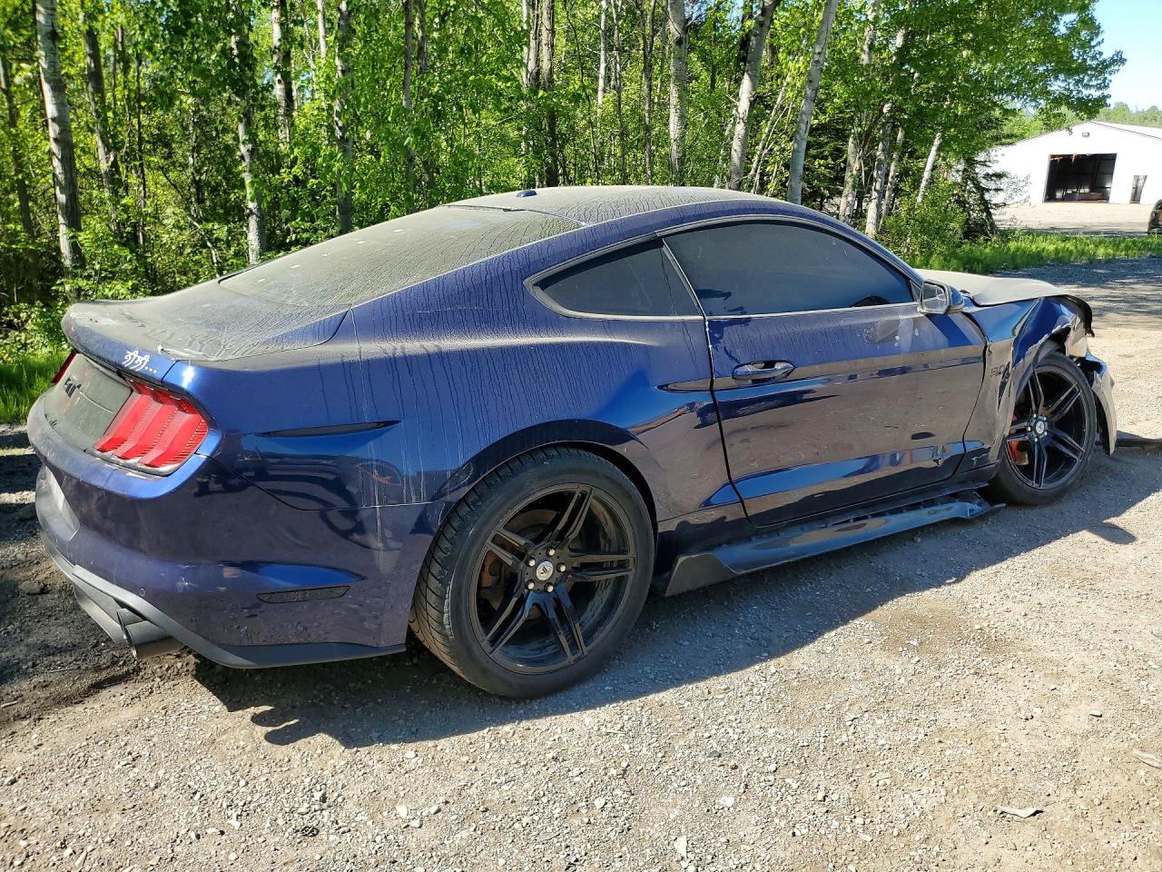 2019 FORD MUSTANG