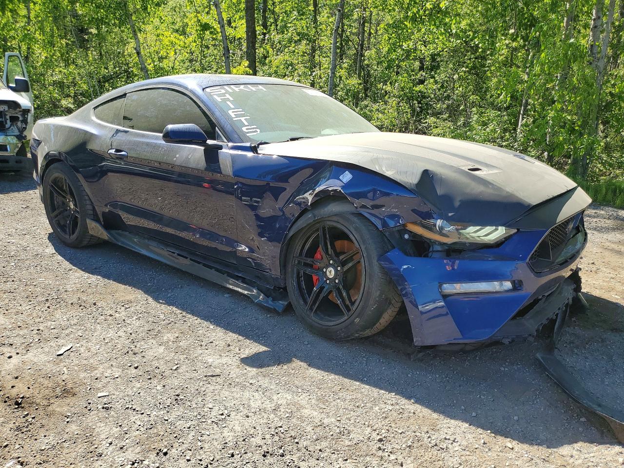 2019 FORD MUSTANG