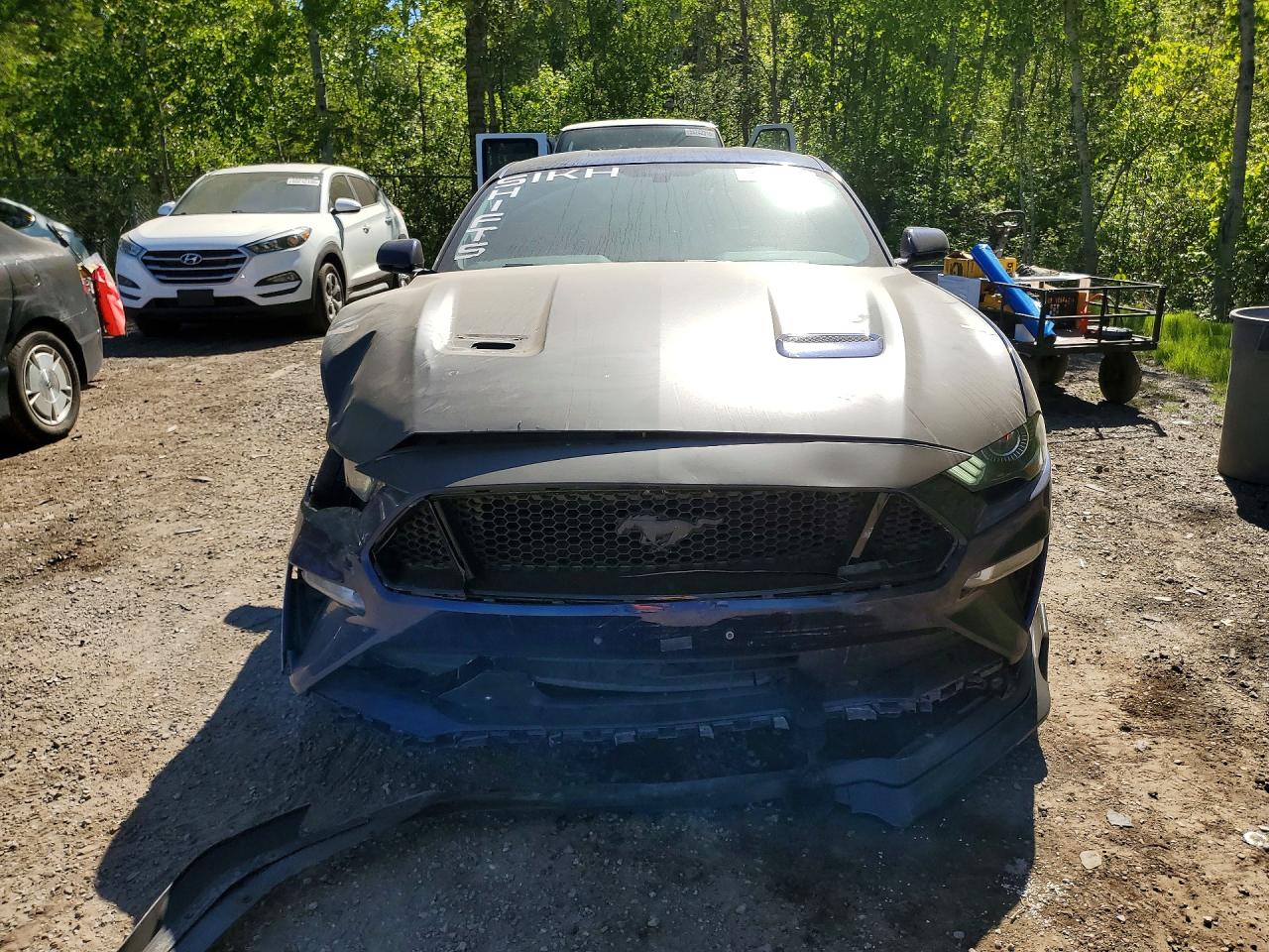 2019 FORD MUSTANG