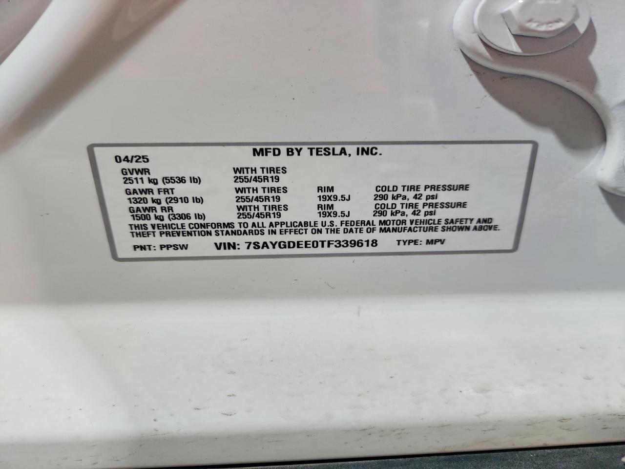 2026 TESLA MODEL Y