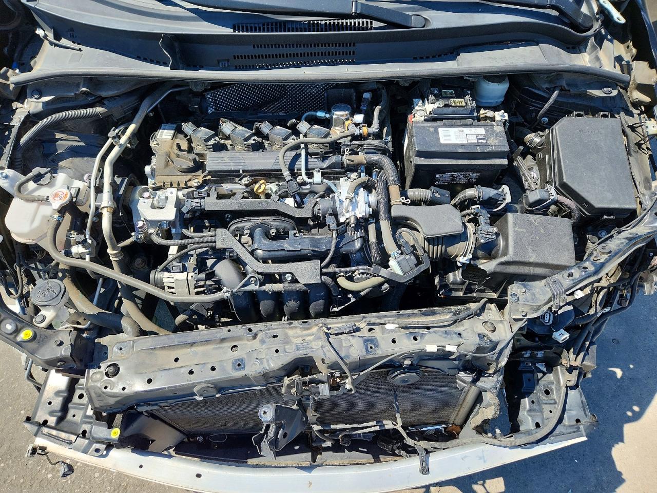 2023 TOYOTA COROLLA