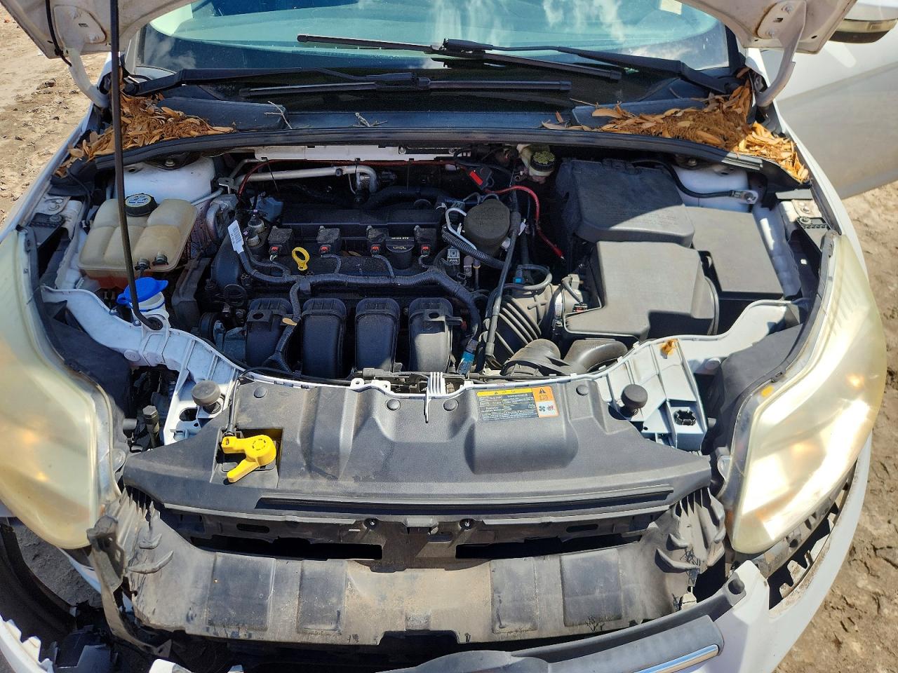 2013 FORD FOCUS
