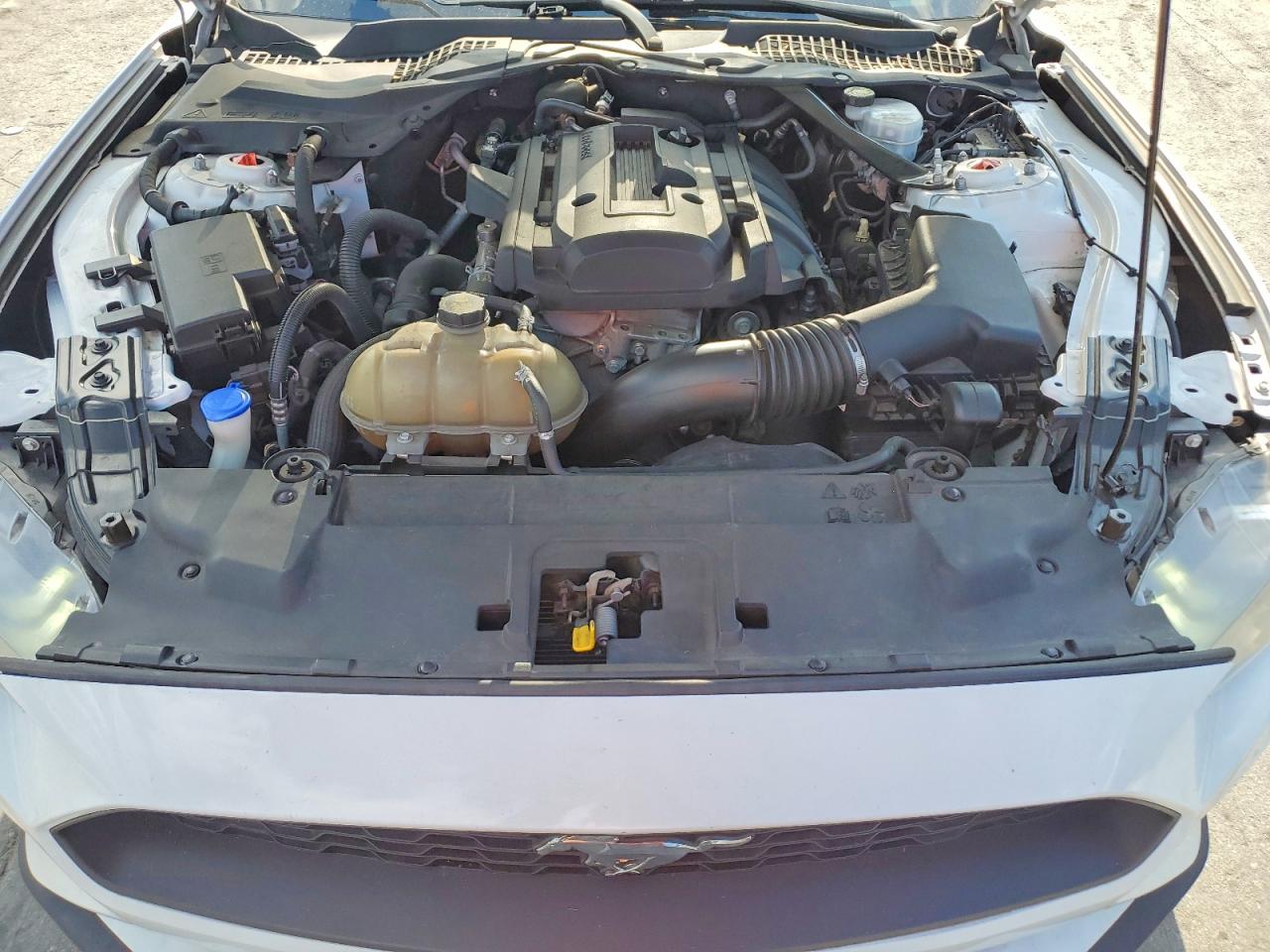 2020 FORD ALL Models