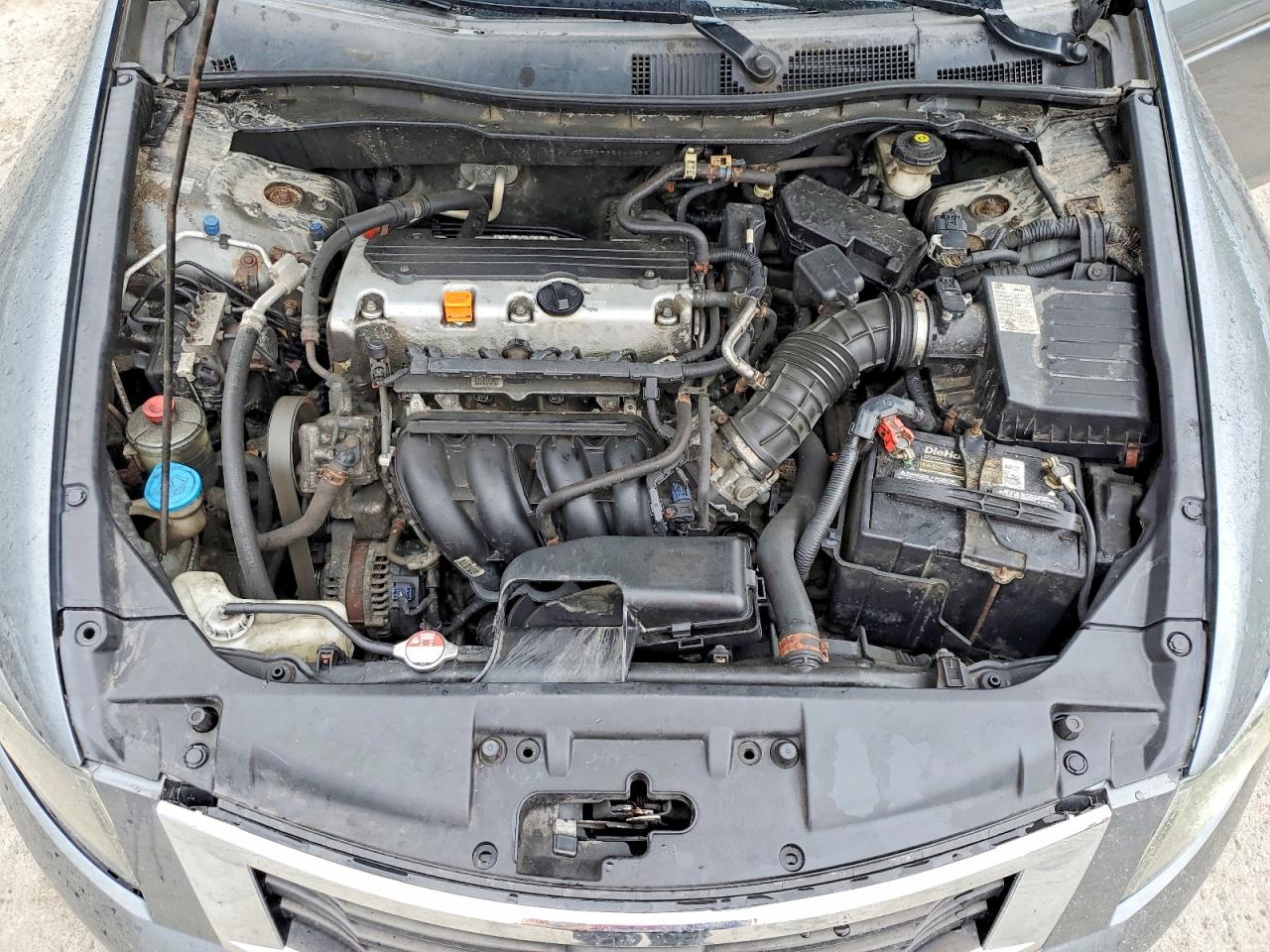 2010 HONDA ACCORD