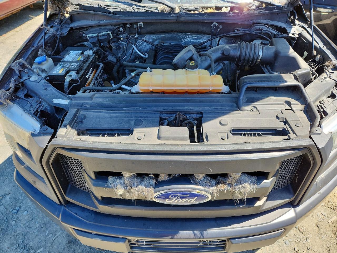 2015 FORD F150