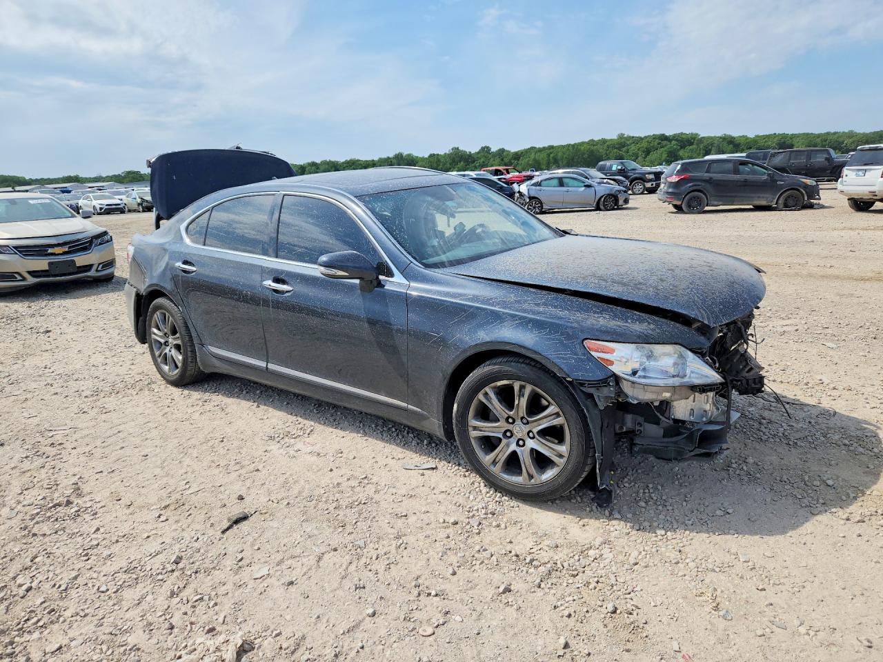 2010 LEXUS LS460
