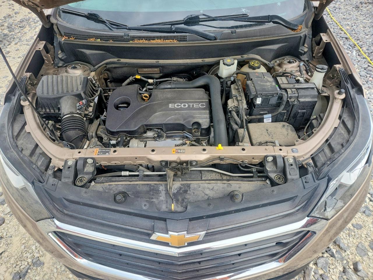 2019 CHEVROLET EQUINOX