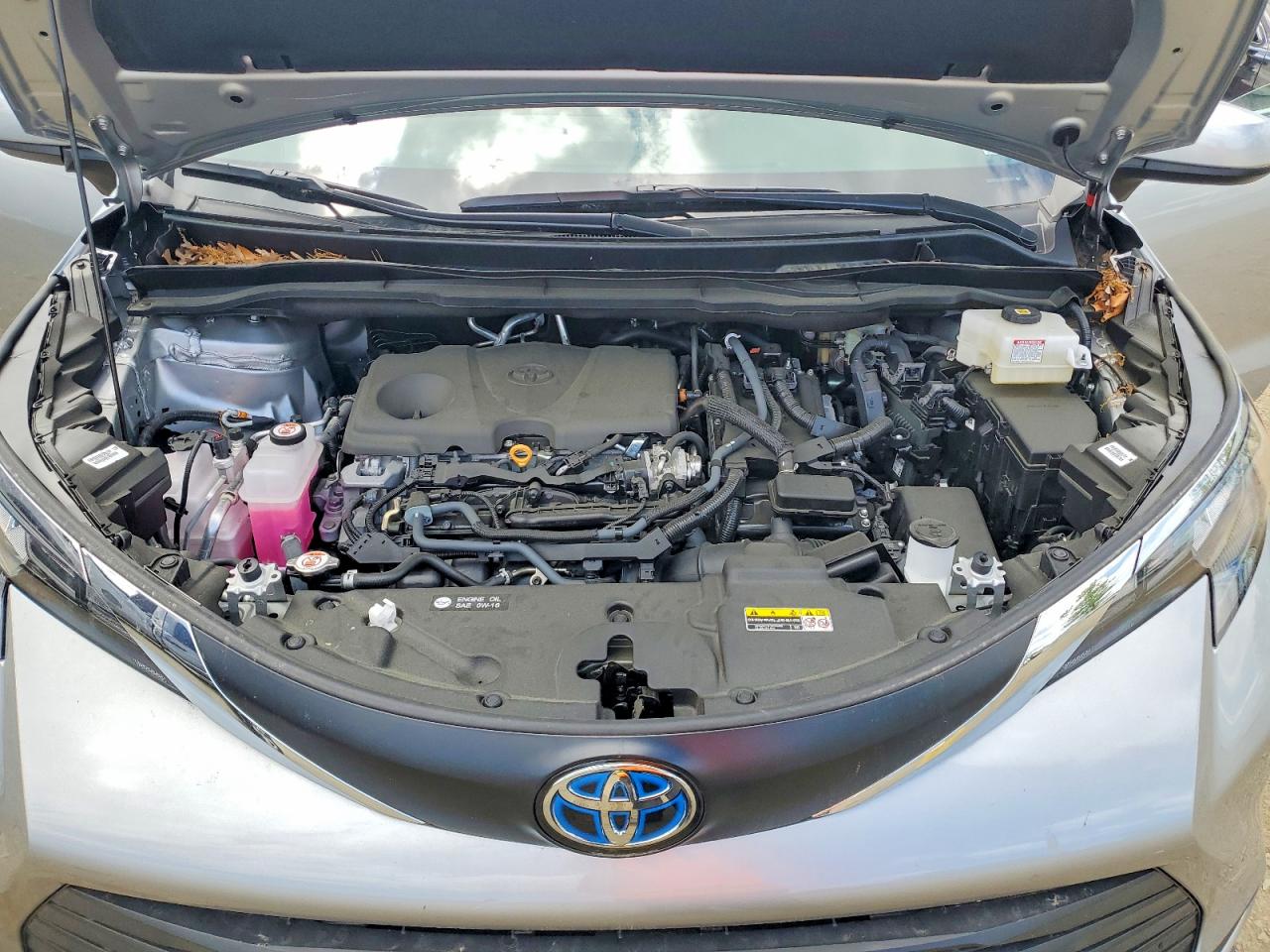 2025 TOYOTA SIENNA