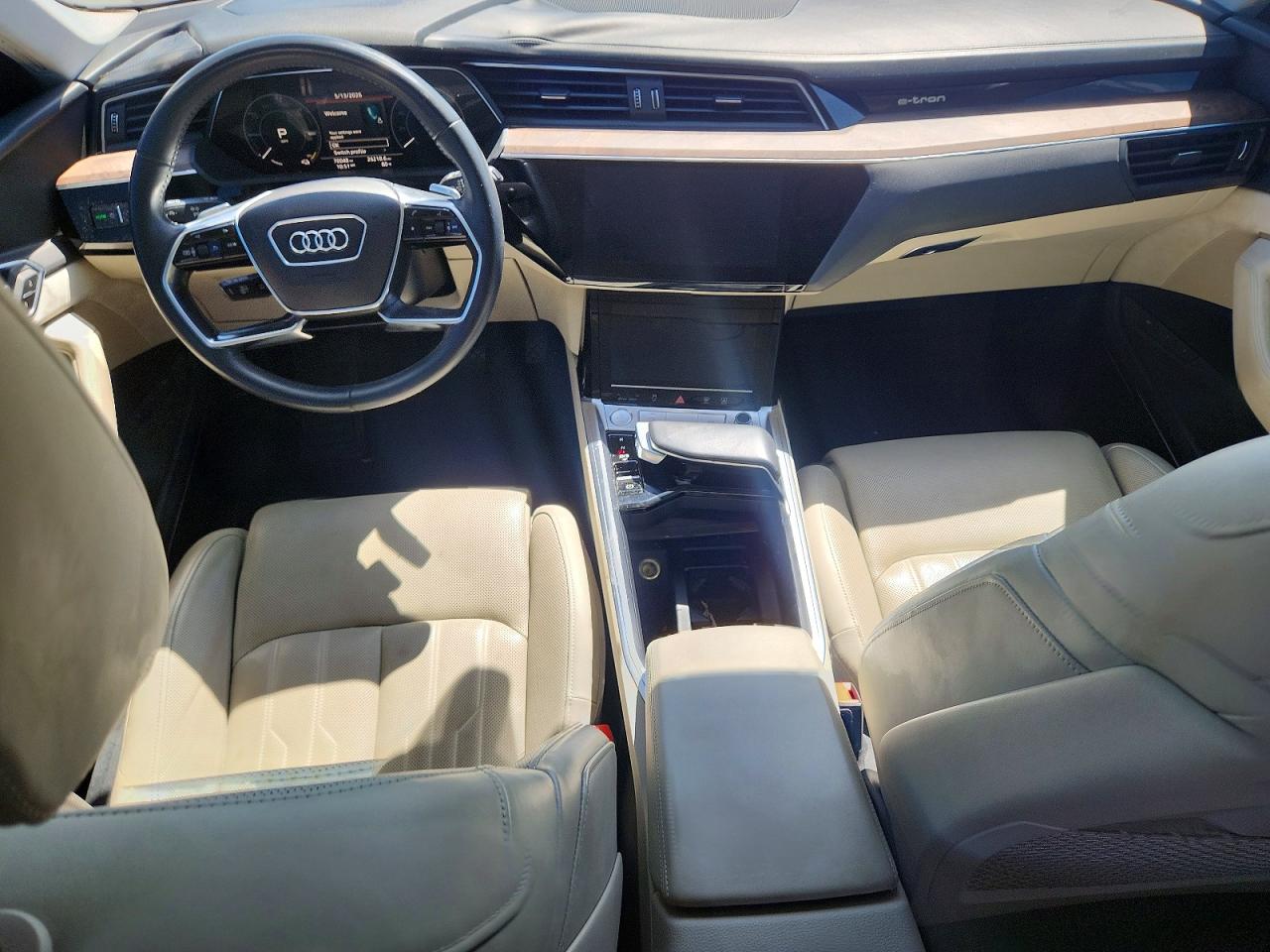2019 AUDI E-TRON