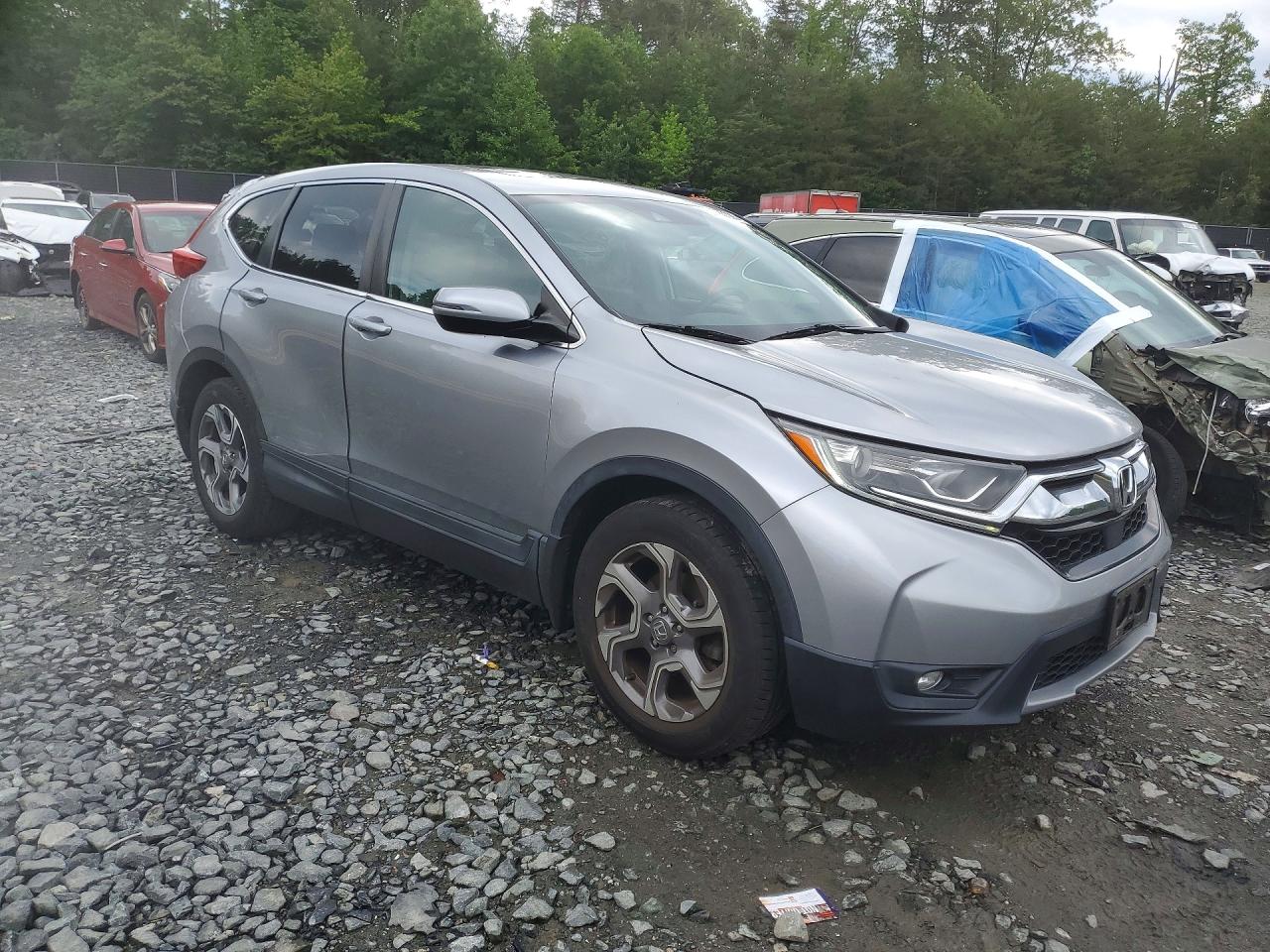2019 HONDA CRV