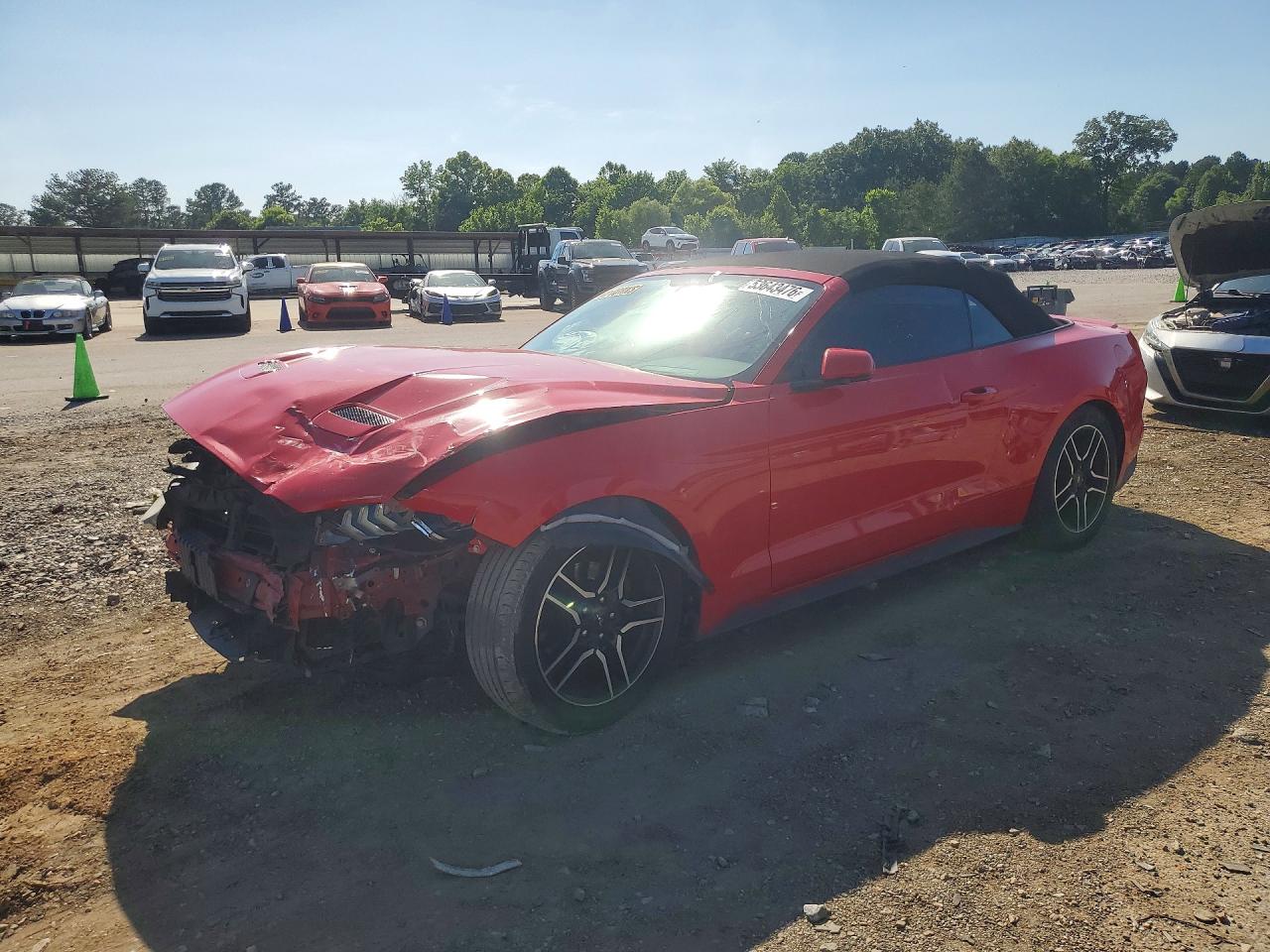 2019 FORD MUSTANG