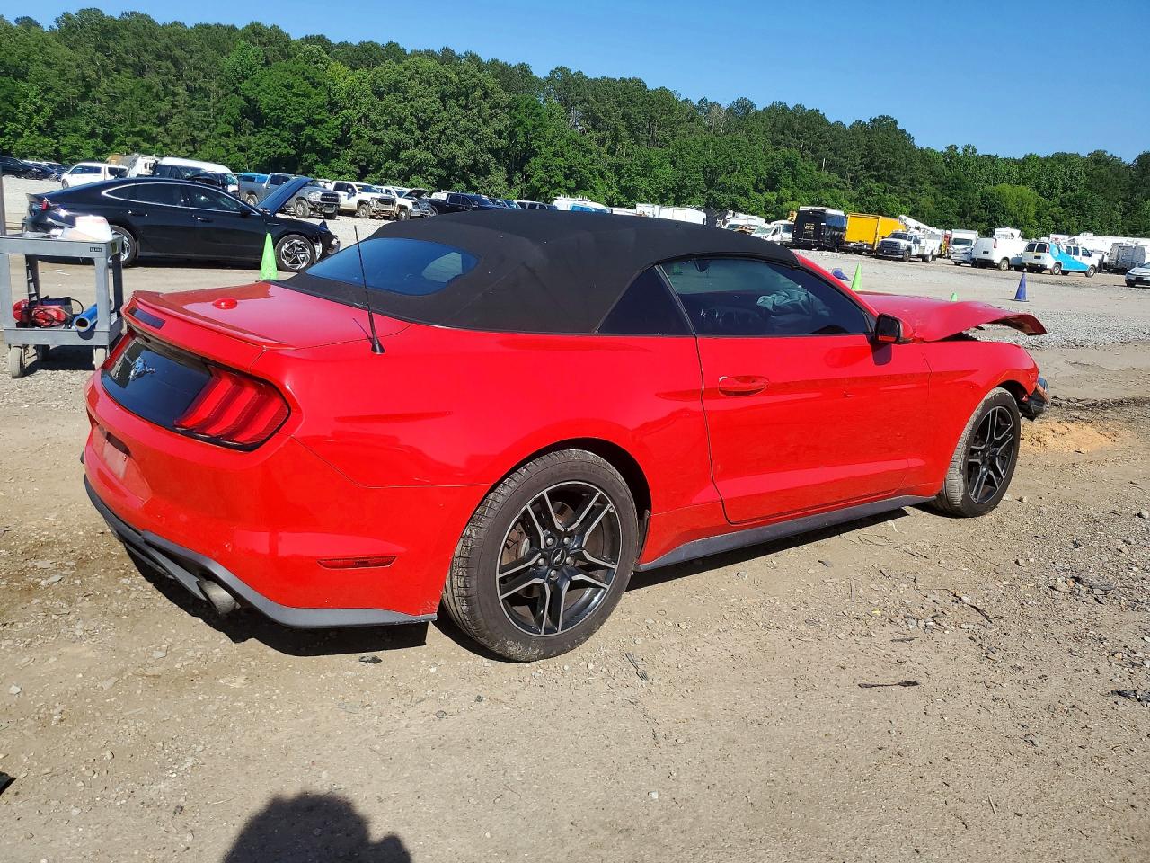 2019 FORD MUSTANG