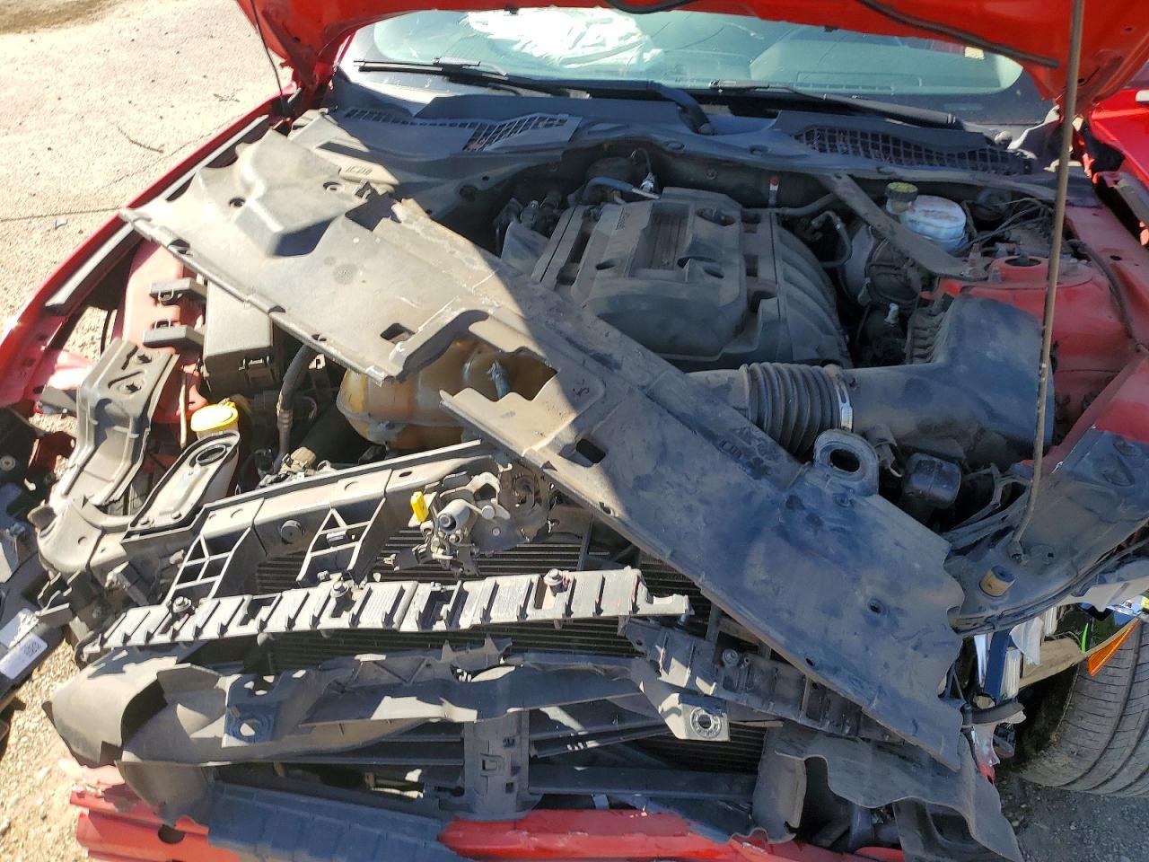 2019 FORD MUSTANG