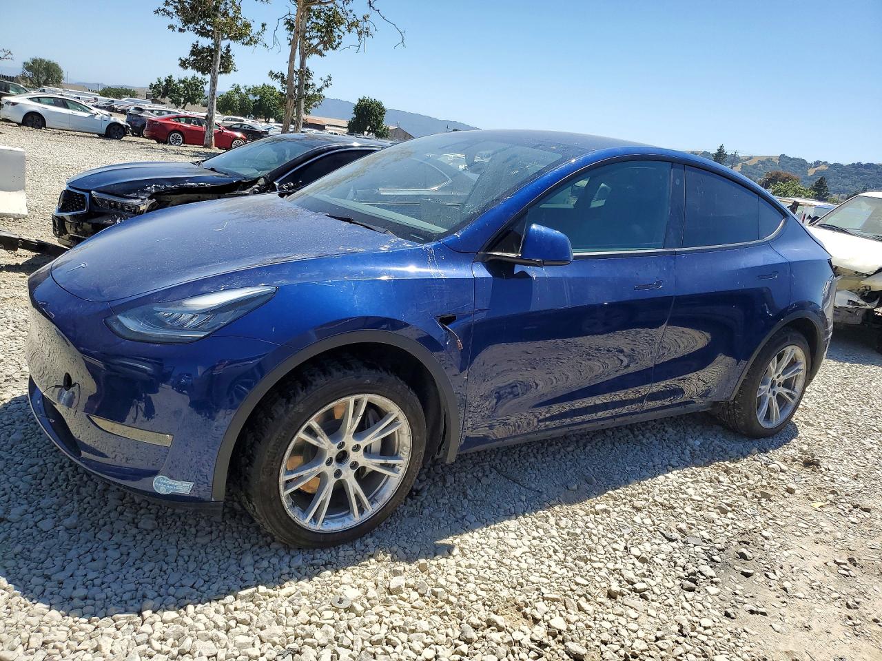 2021 TESLA MODEL Y
