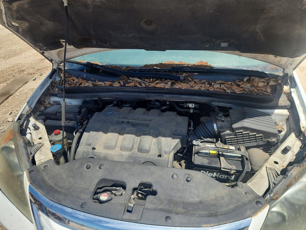 2010 HONDA ODYSSEY