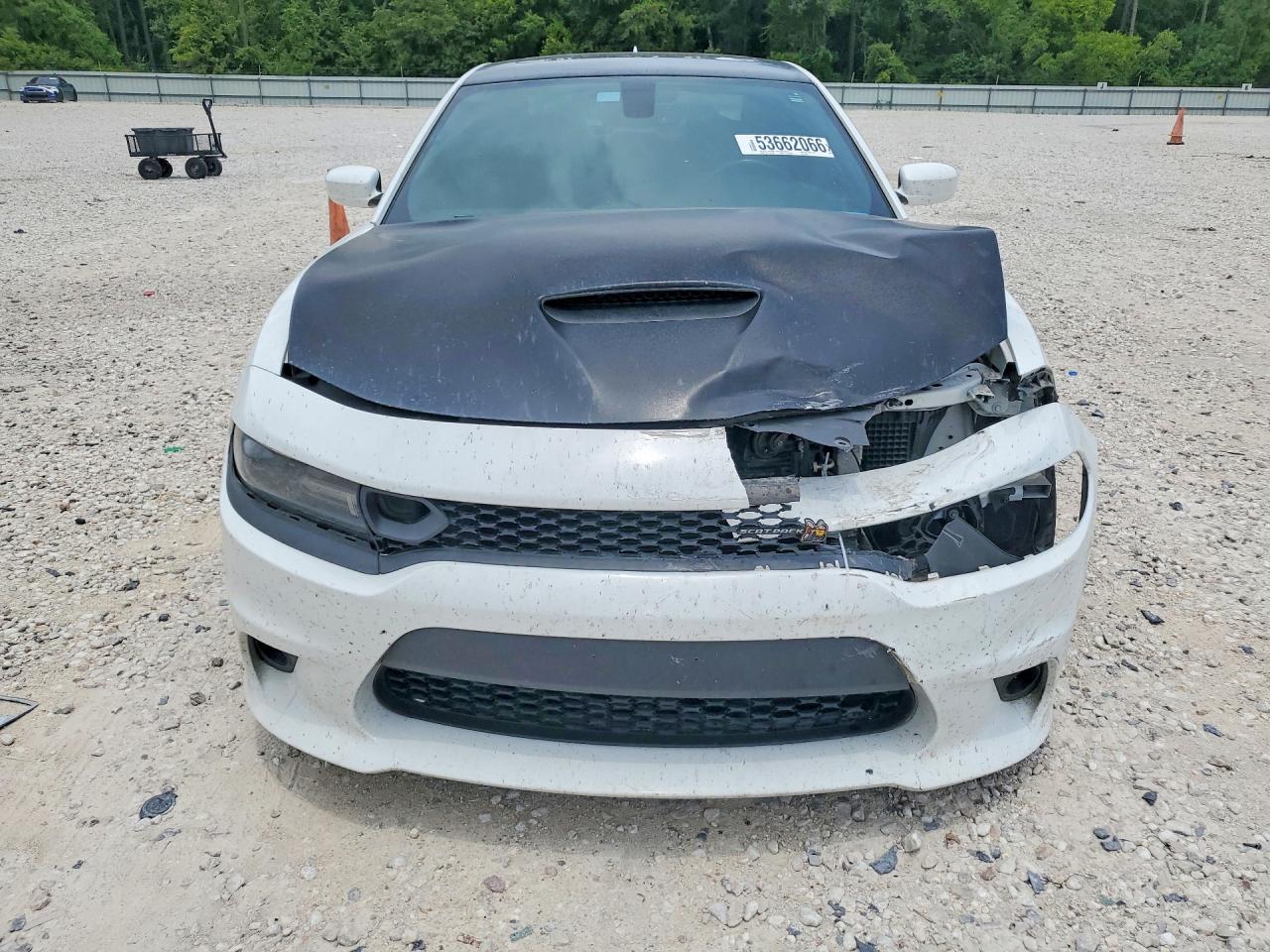 2019 DODGE CHARGER