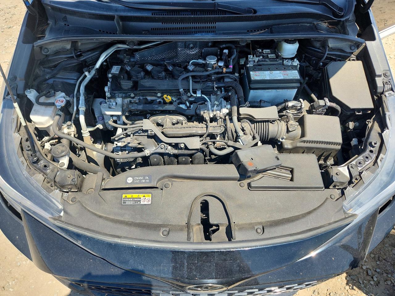 2023 TOYOTA COROLLA