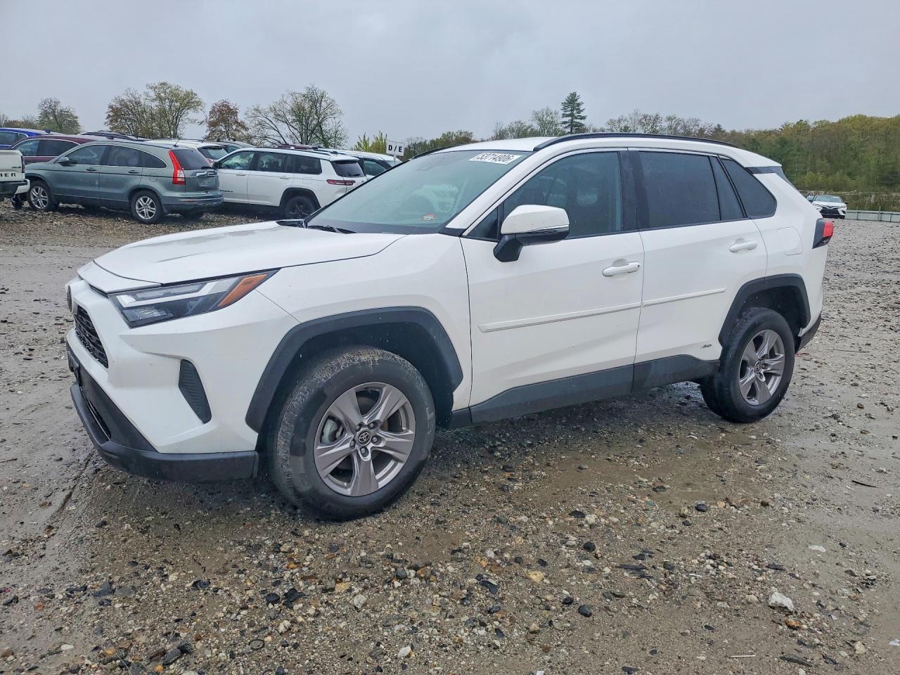 2025 TOYOTA RAV4