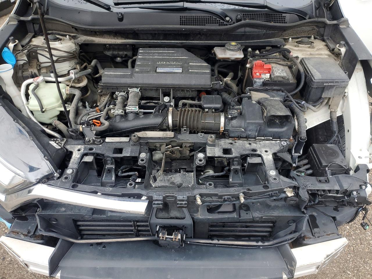 2019 HONDA CRV