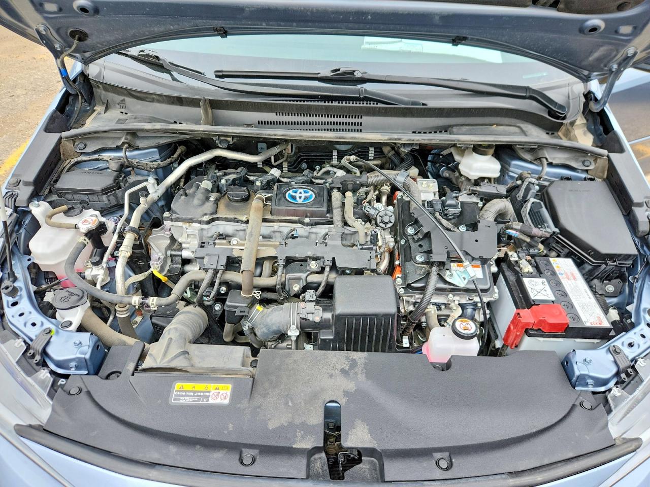 2024 TOYOTA COROLLA