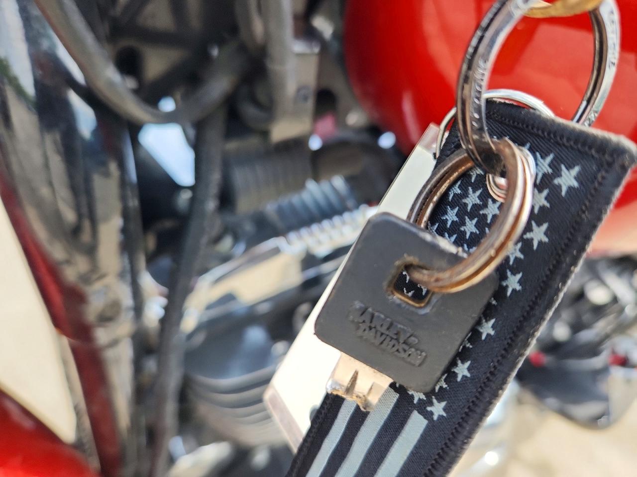 2014 HARLEY DAVIDSON SPRTSTR120