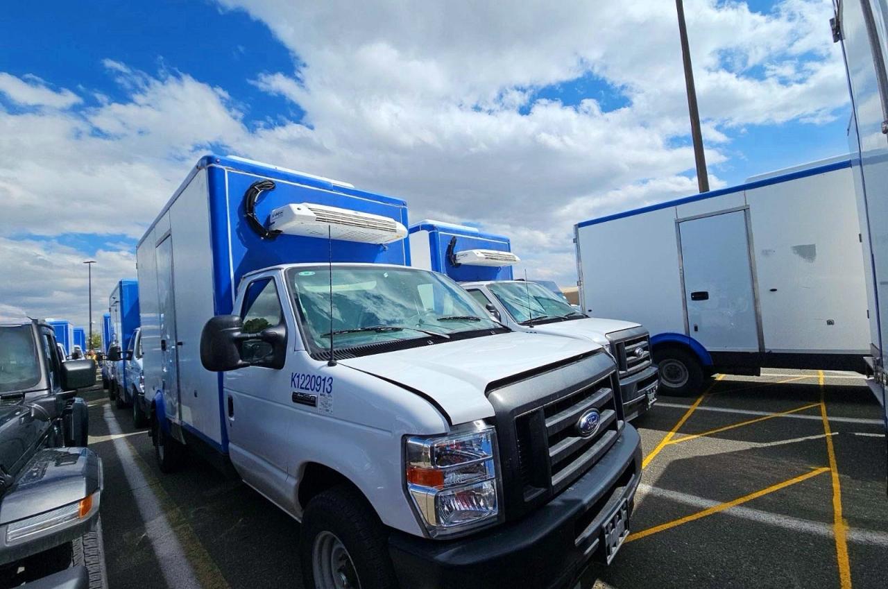 2023 FORD ALL Models