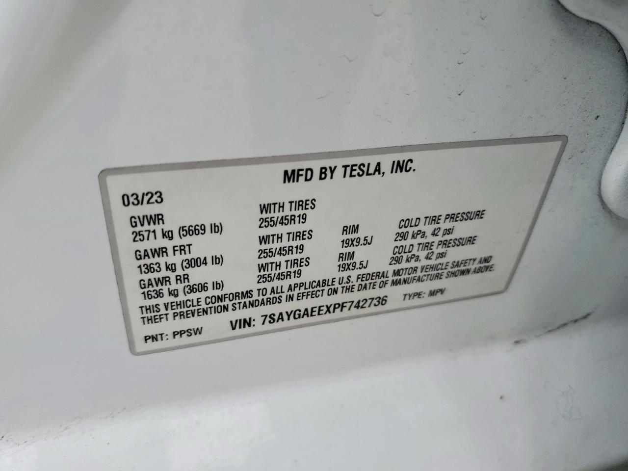 2023 TESLA MODEL Y