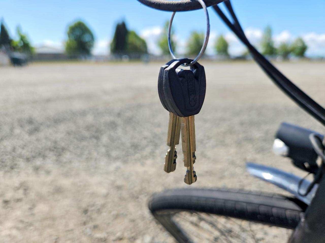 2020 BIKE TREK