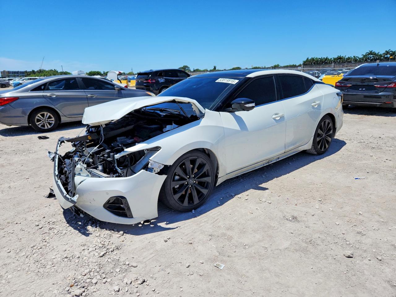 2022 NISSAN MAXIMA