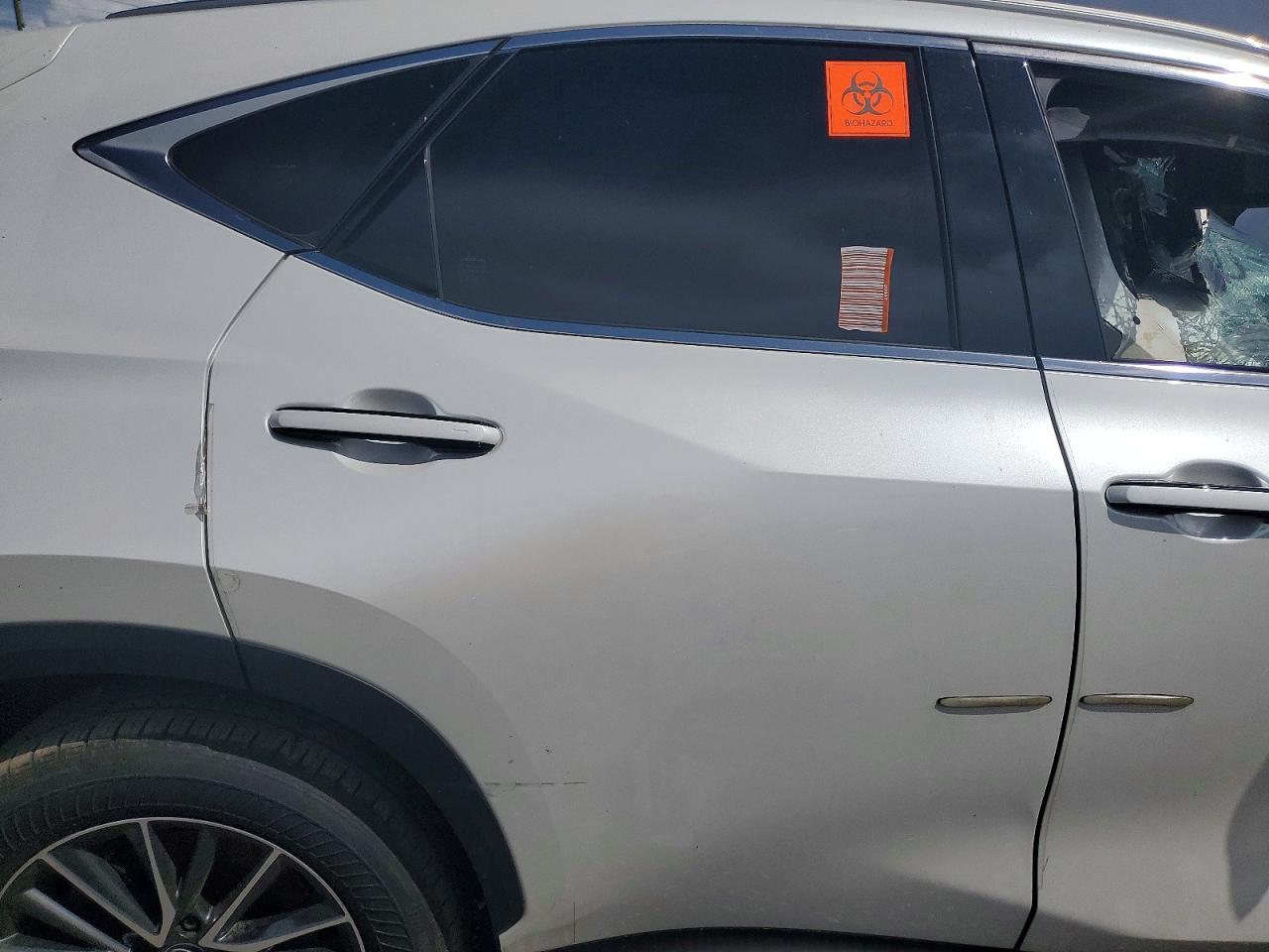 2025 LEXUS NX