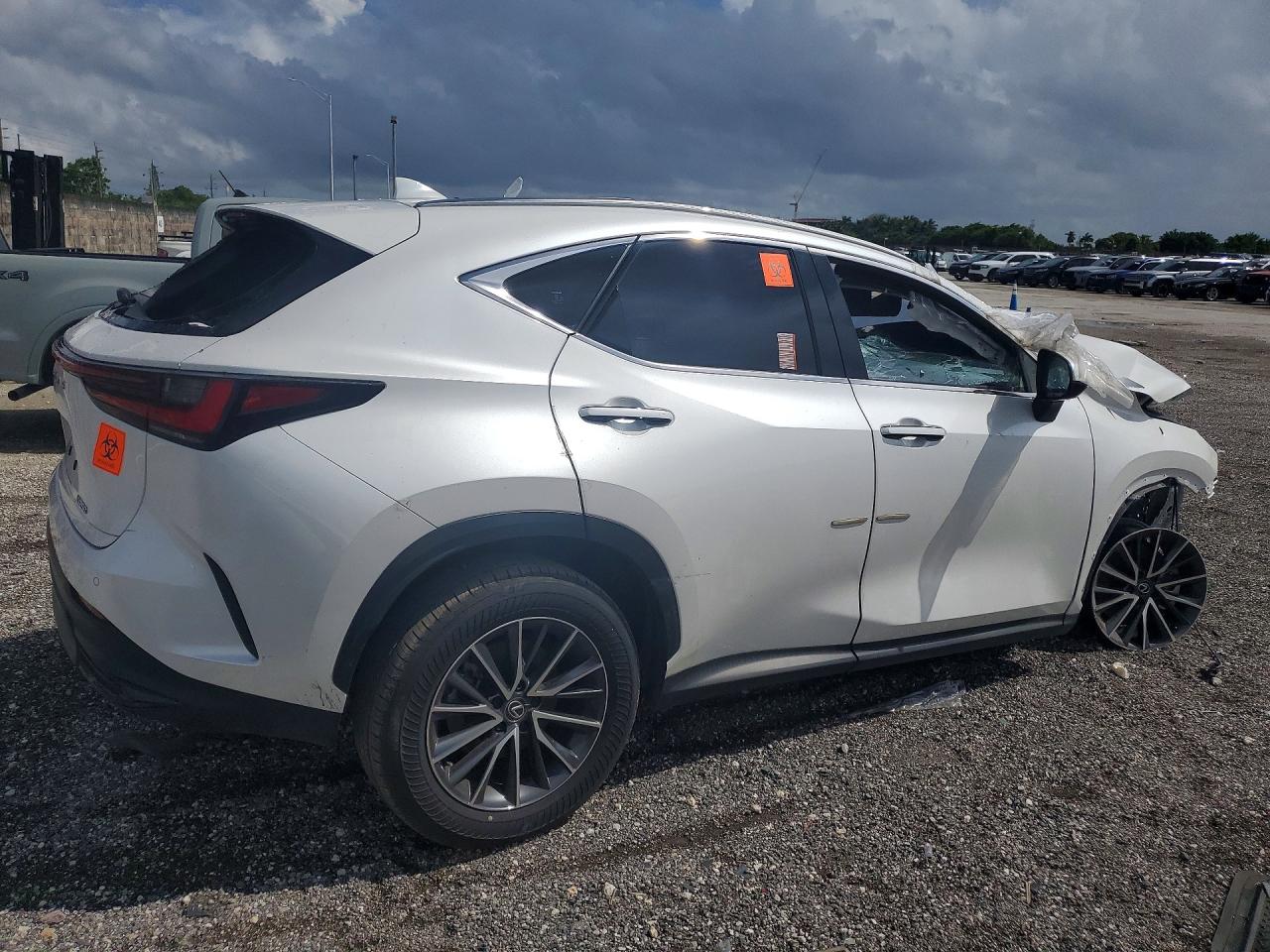 2025 LEXUS NX