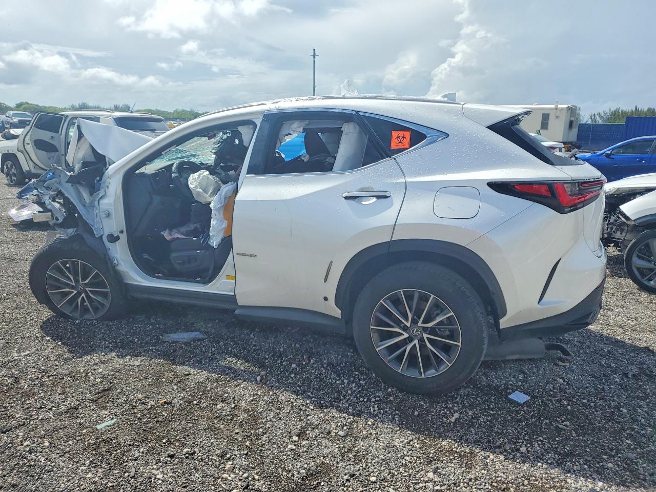 2025 LEXUS NX
