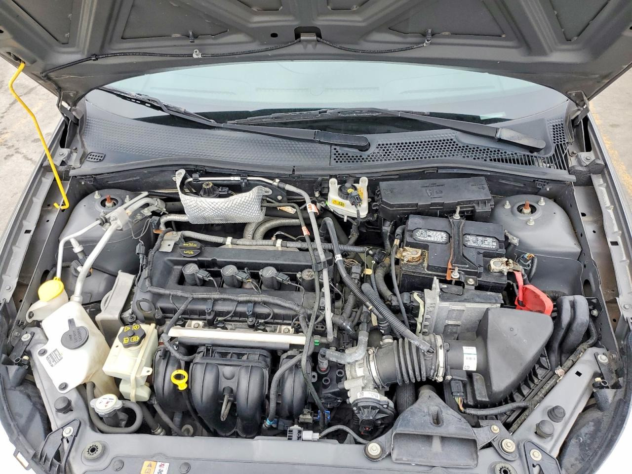 2010 FORD FOCUS