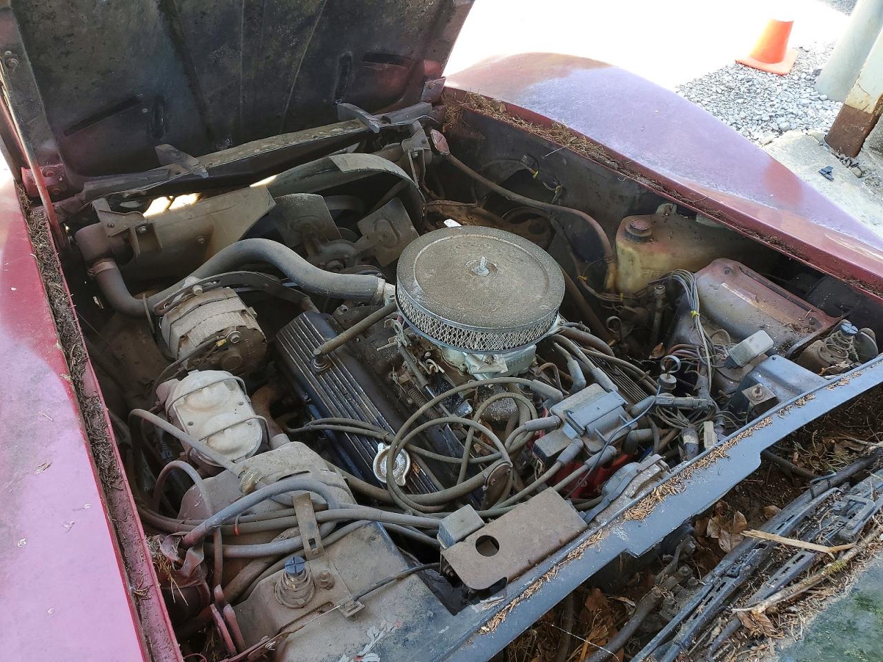 1981 CHEVROLET CORVETTE