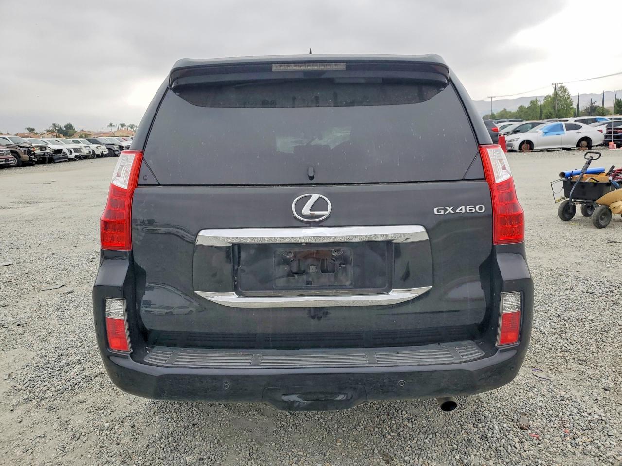 2013 LEXUS GX