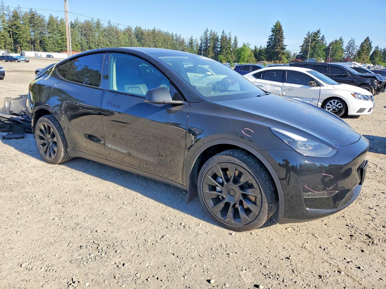 2024 TESLA MODEL Y