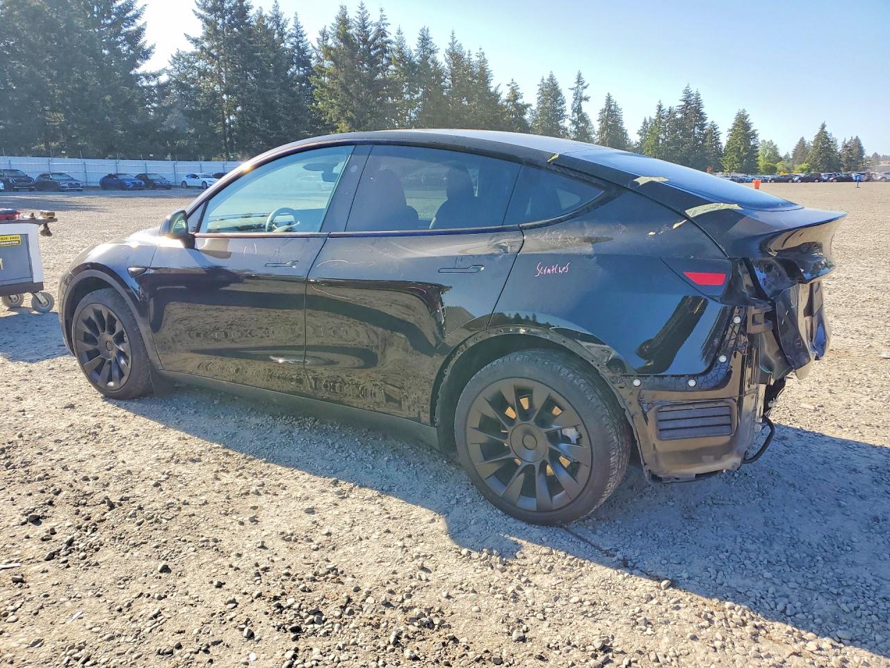 2024 TESLA MODEL Y