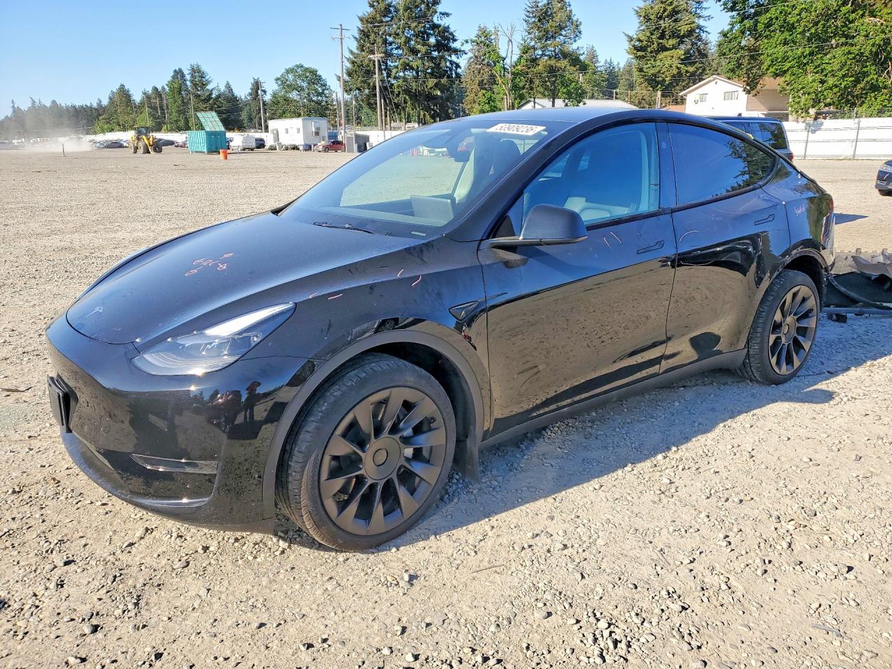 2024 TESLA MODEL Y