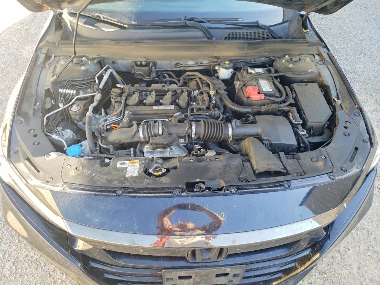 2019 HONDA ACCORD