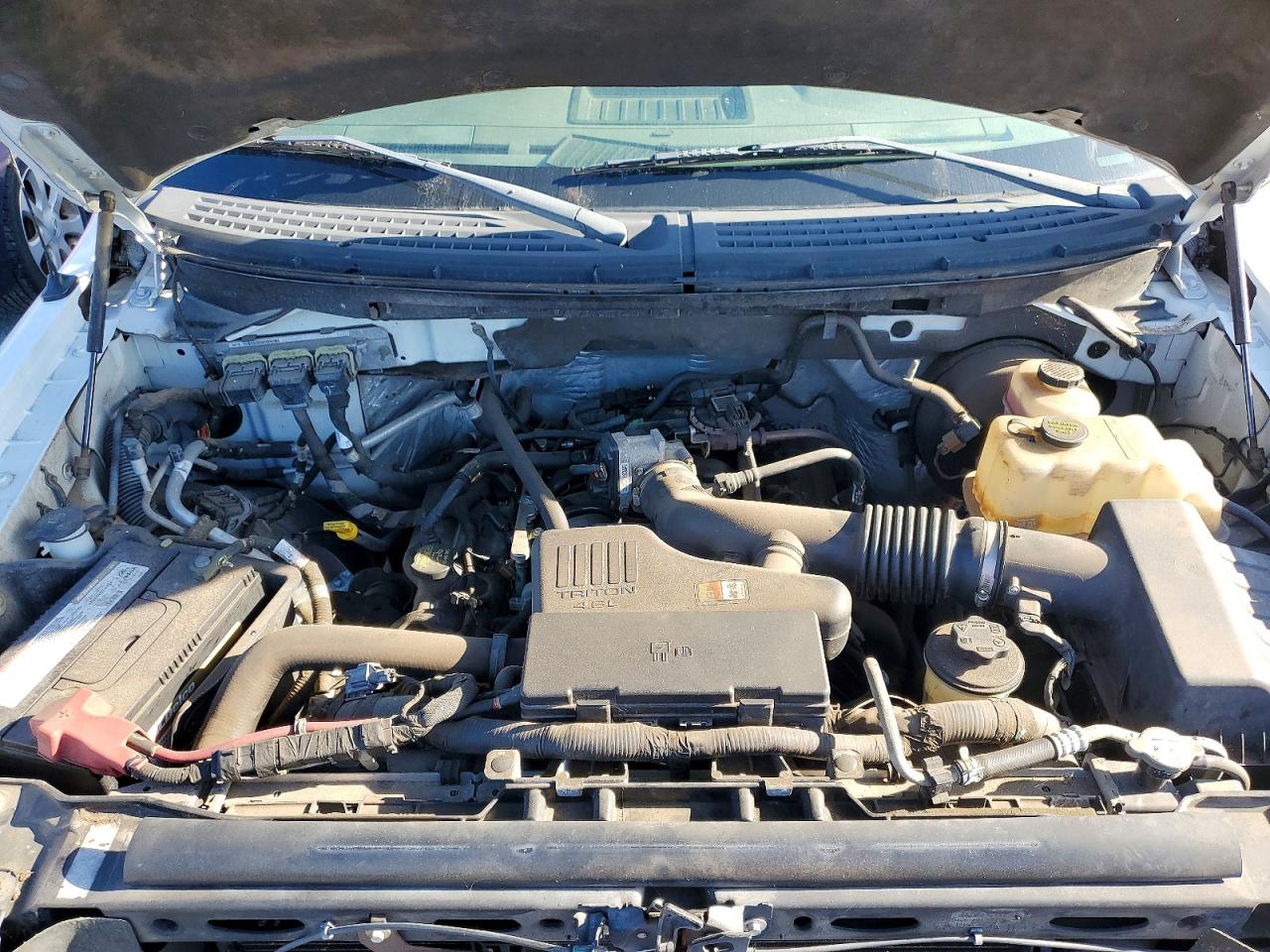 2010 FORD F150