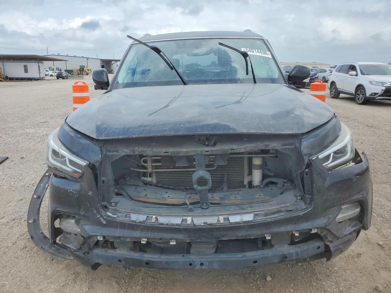 2019 INFINITI QX80