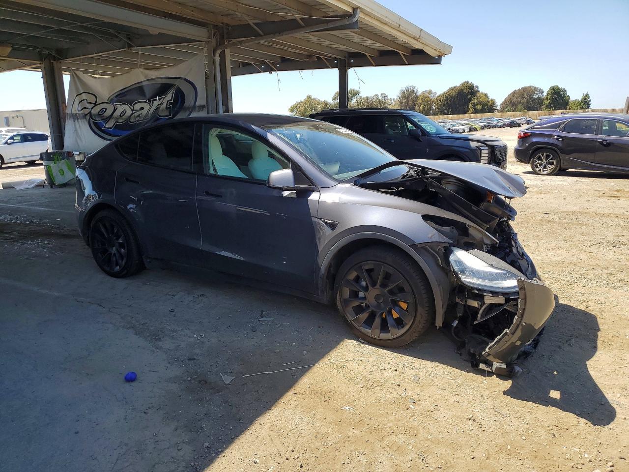 2020 TESLA MODEL Y