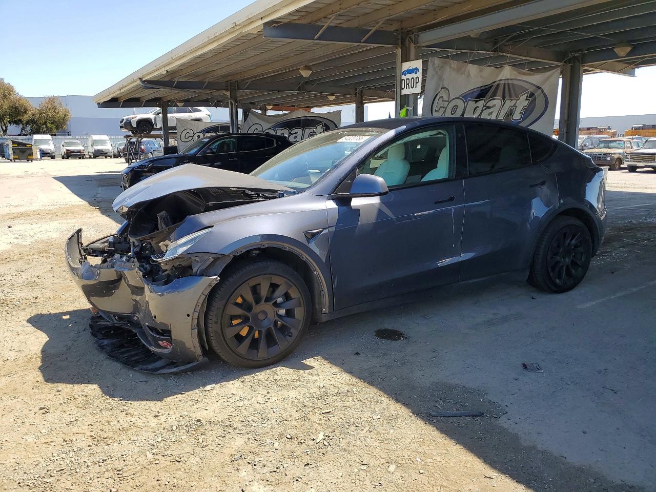 2020 TESLA MODEL Y
