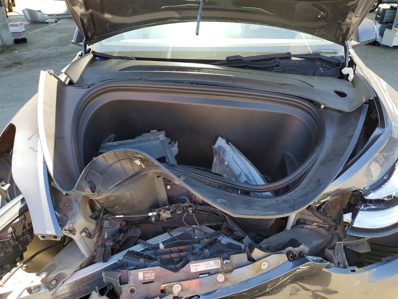 2020 TESLA MODEL Y