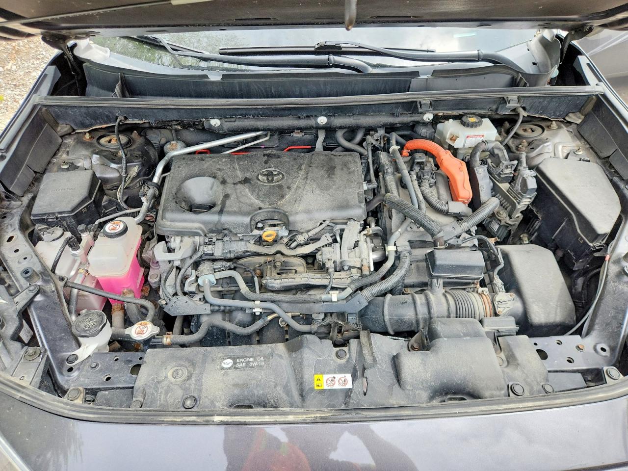 2019 TOYOTA RAV4