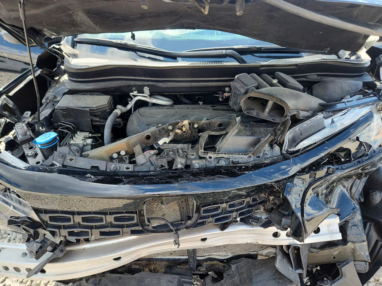 2019 HONDA PASSPORT