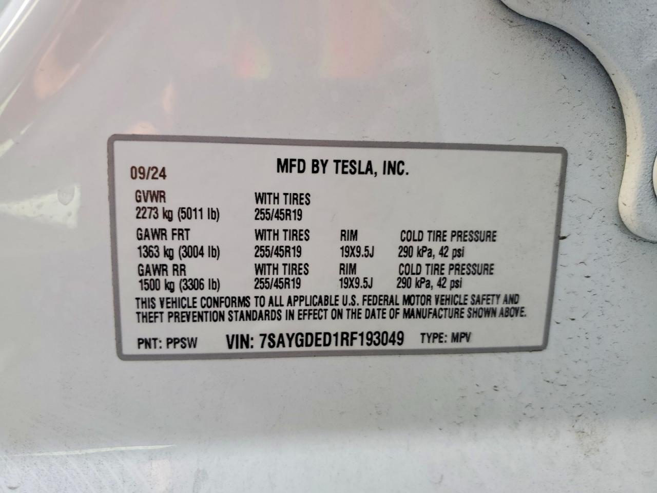 2024 TESLA MODEL Y