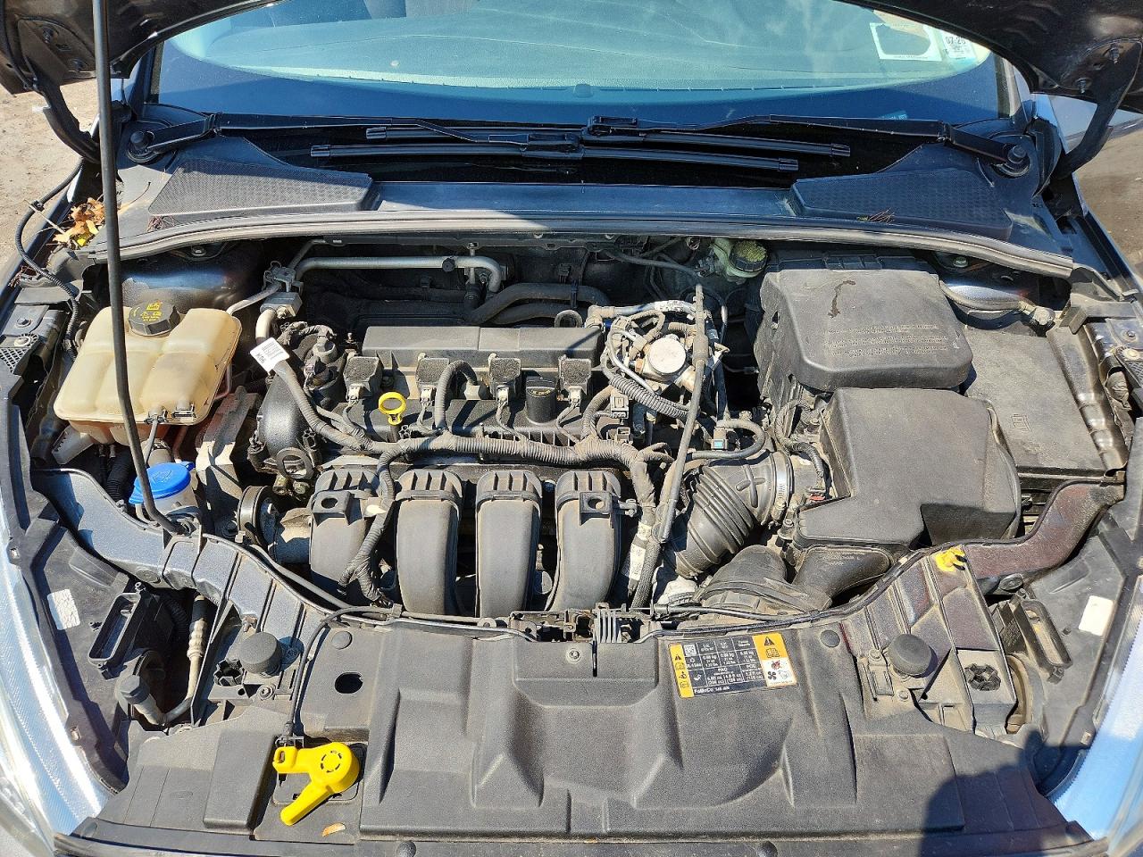 2016 FORD FOCUS