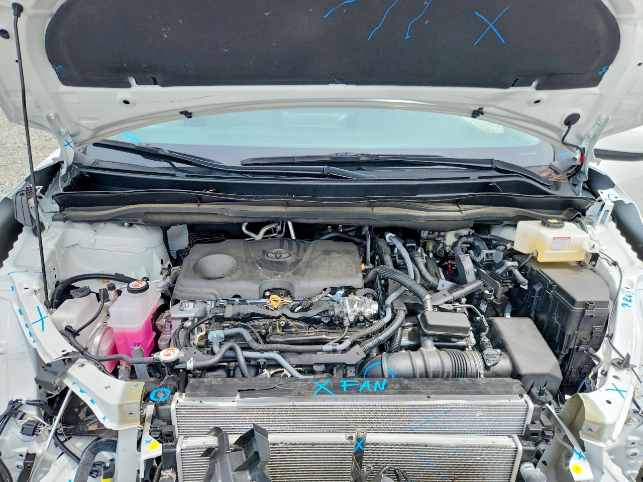 2025 TOYOTA SIENNA